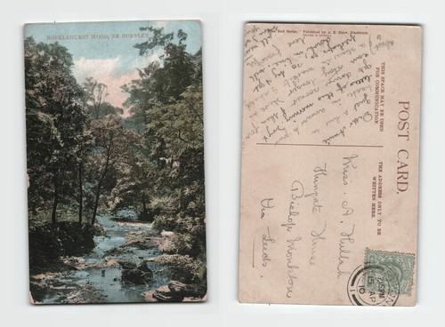 Postcard ronklehurst wood nr - ronklehurst,