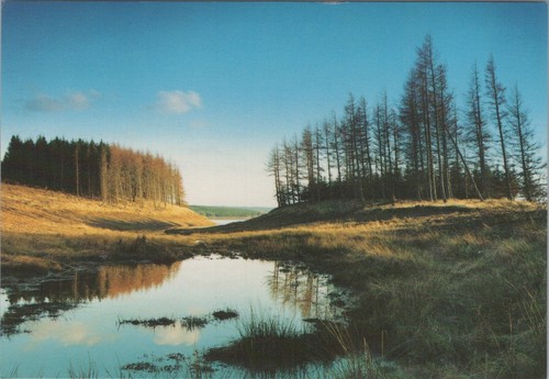 Northumberland postcard - northumberland,