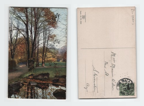 Vintage postcard woodland park - vintage,