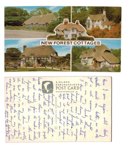 Vintage postcard new forest - postcard,