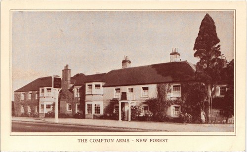 Hampshire new forest - hampshire,