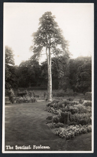 Postcard foxlease lyndhurst - postcard,
