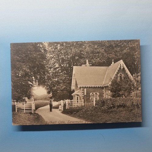Savernake forest postcard - forest, 1907