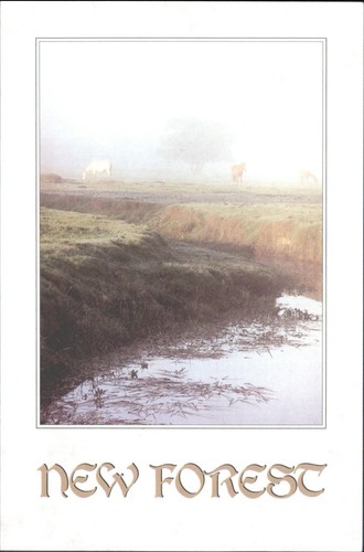 New forest england - new,
