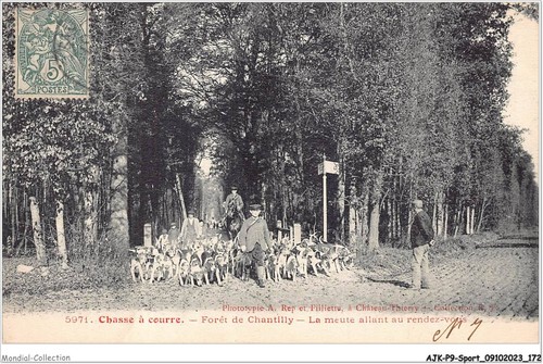 Ajkp9 0947 sport hunting - -,