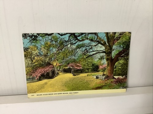 Vintage postcard bolder wood - vintage,