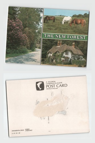 Postcard the new - -,