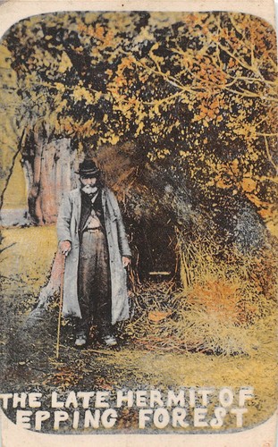 Postcard epping forest the - postcard,