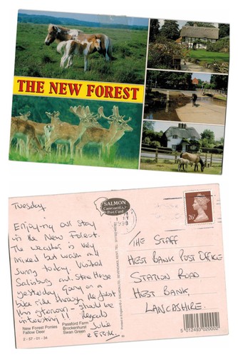 Postcard the new forest - postcard,