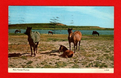 04150 148 postcard - postcard, new