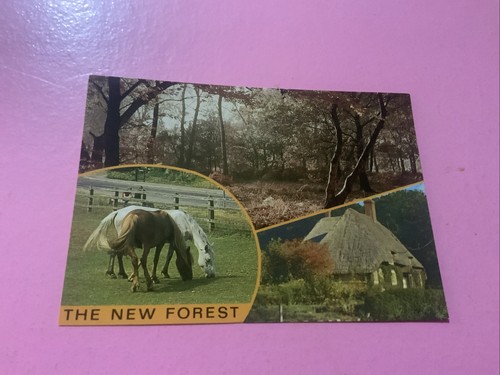 The new forest - new,