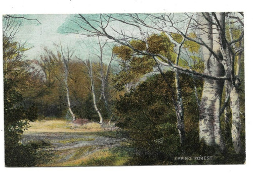 Epping forest essex - epping,