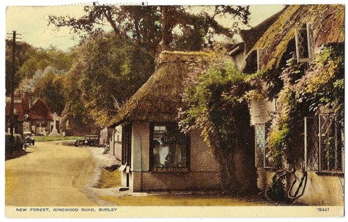 Burley new forest postcards - forest,