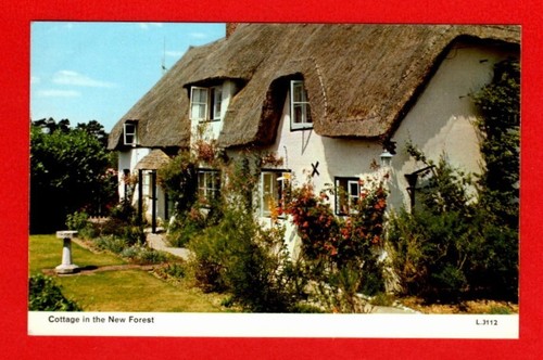 041568 postcard new - ,
