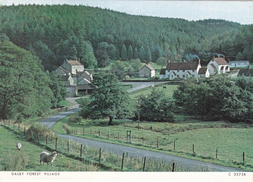 Dalby forest village postcard - forest,