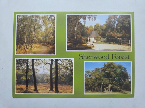 Sherwood forest multiview - sherwood,
