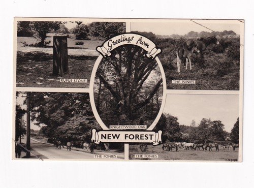 Real photo multiview postcard - real,