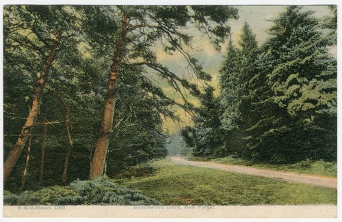 Boldrewood drive new - boldrewood,