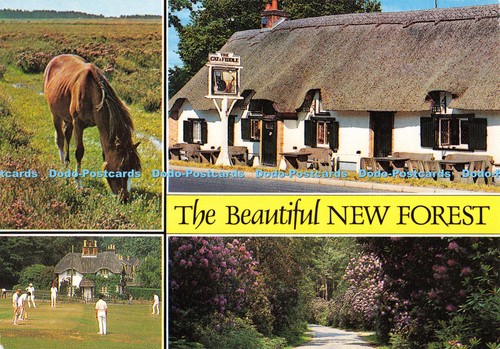 D001180 the beautiful new - beautiful,