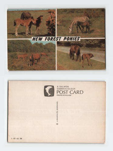 Vintage postcard new forest - postcard,