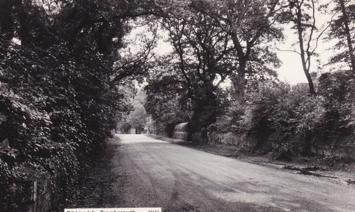 Vintage real photo postcard - photo,