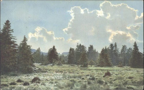 Vintage photochromie postcard - photochromie,
