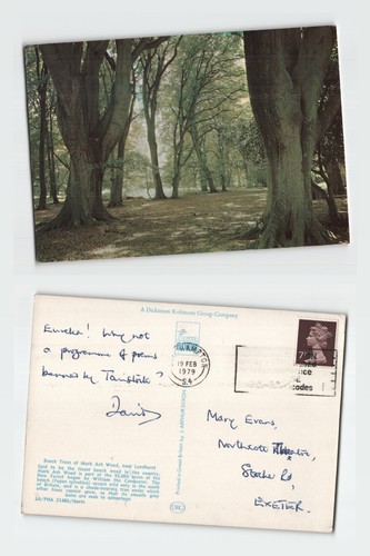 Vintage postcard lyndhurst - vintage,