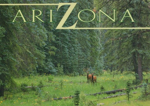 America postcard arizona - america,