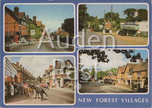 Postcard new forest - of,