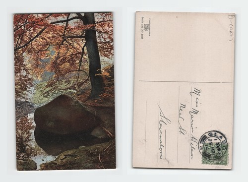 Vintage postcard woodland - vintage,
