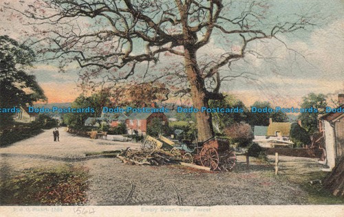 R672636 new forest - r672636, emery