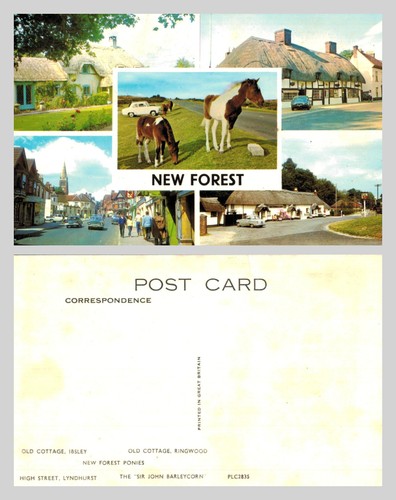 Vintage postcard new forest - -,