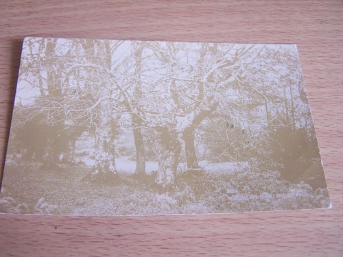 Harris new forest series - forest, no
