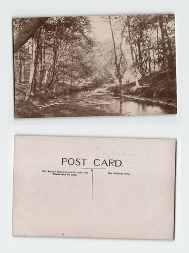 Vintage postcard woodland - postcard,
