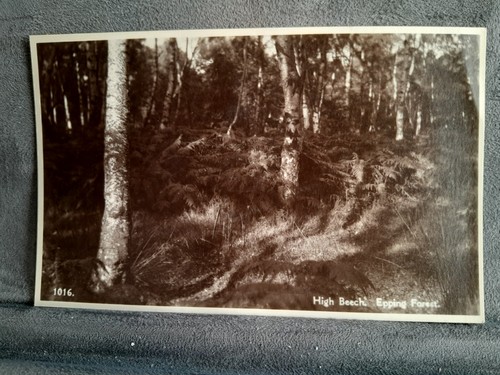 Epping forest high beech - epping,