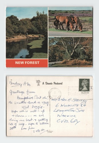 Vintage postcard new - new, forest
