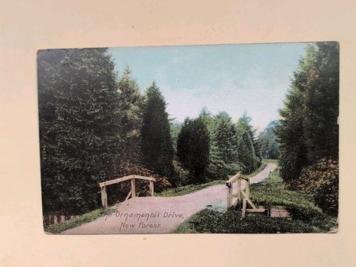 The ornamental drive - ornamental, new