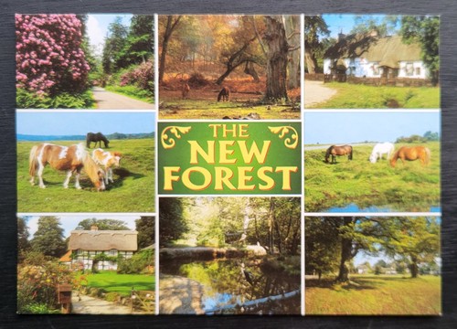 Vintage postcard unused - vintage,