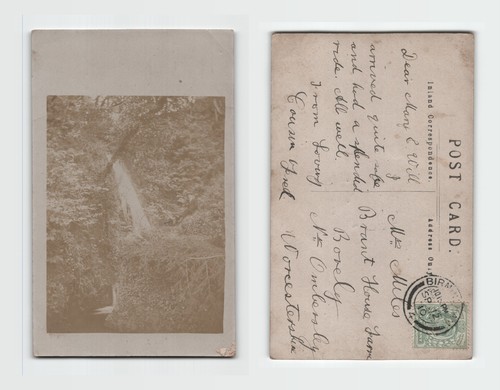 Postcard edwardian real - -,