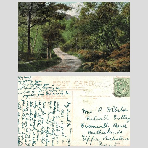 Vintage postcard woodland - vintage,