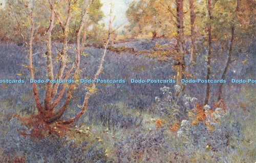 R345298 unknown painting - r345298,