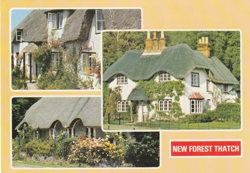 New forest thatch - new, hampshire
