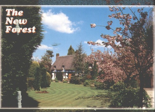 The new forest - the,