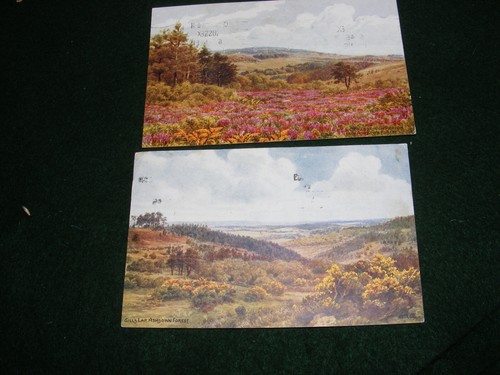 Vintage postcard ashdown - vintage,