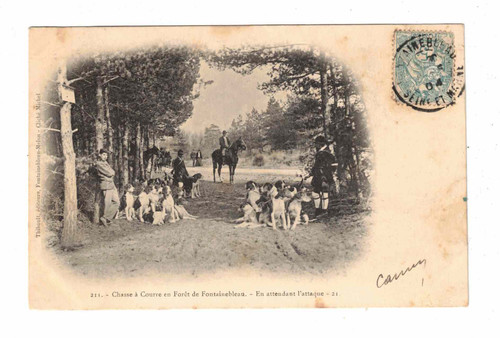 Vintage postcard stag - postcard, hunt