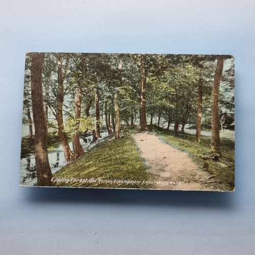 Epping forest postcard c1910 - epping,
