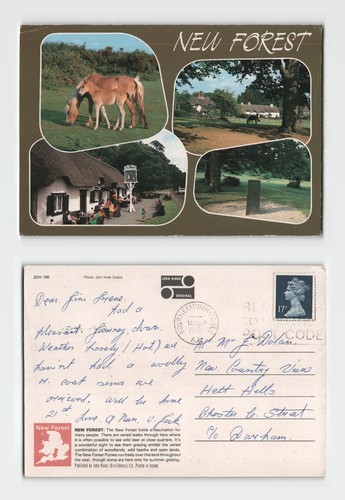 Postcard new forest - -,