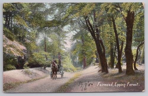 Postcard antique horse - postcard,