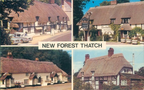 New forest thatch cottages - new,