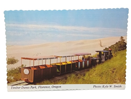 Timber dunes park - dunes, florence